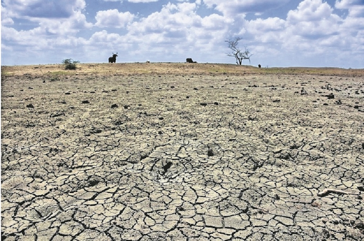 Enviarán pipas de agua a comunidades queretanas afectadas por sequía ...