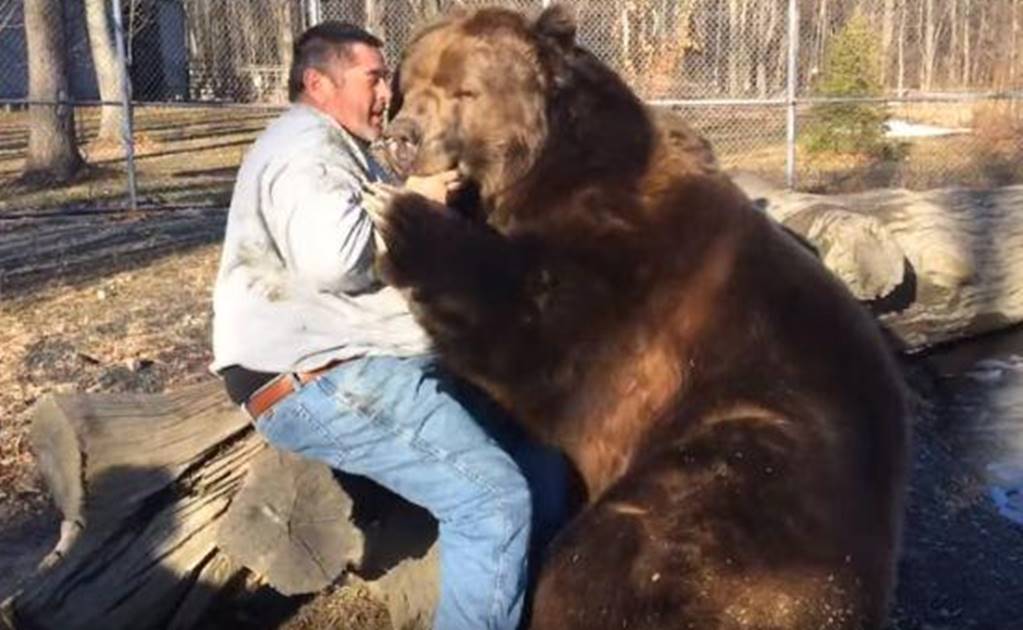 Amistad entre un oso y un hombre emociona a toda Rusia