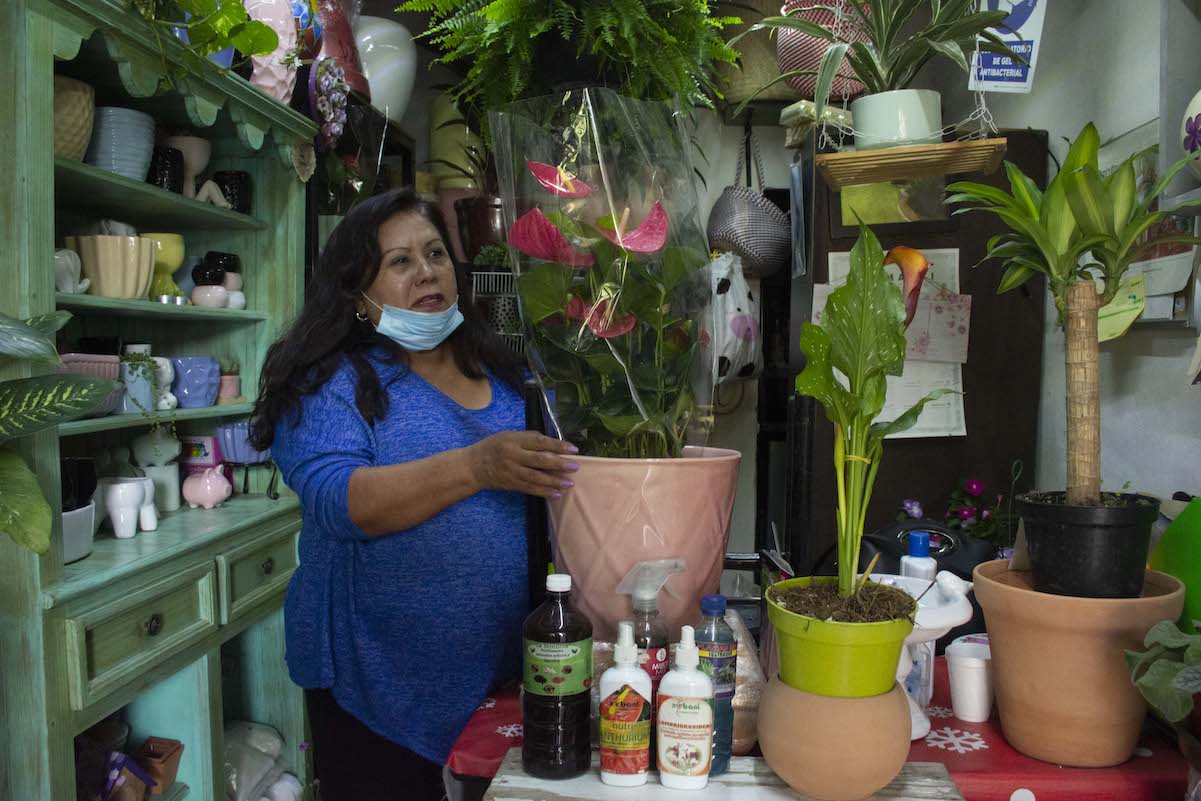 Cuidar plantas, la terapia que ayudó a sobrellevar el confinamiento del Covid-19 en Querétaro