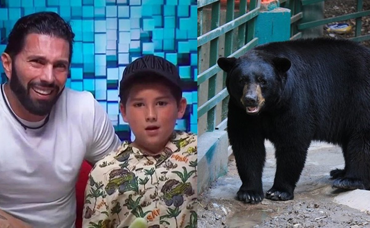 Poncho de Nigris y su hijo, perseguidos por un oso; guardabosques explica en TikTok qué hacer