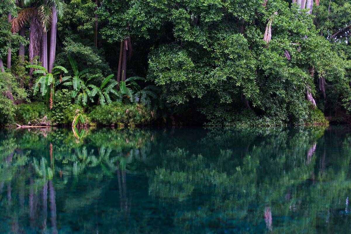 Cuánto cuesta ir al parque Las Estacas, en Morelos, este 2021