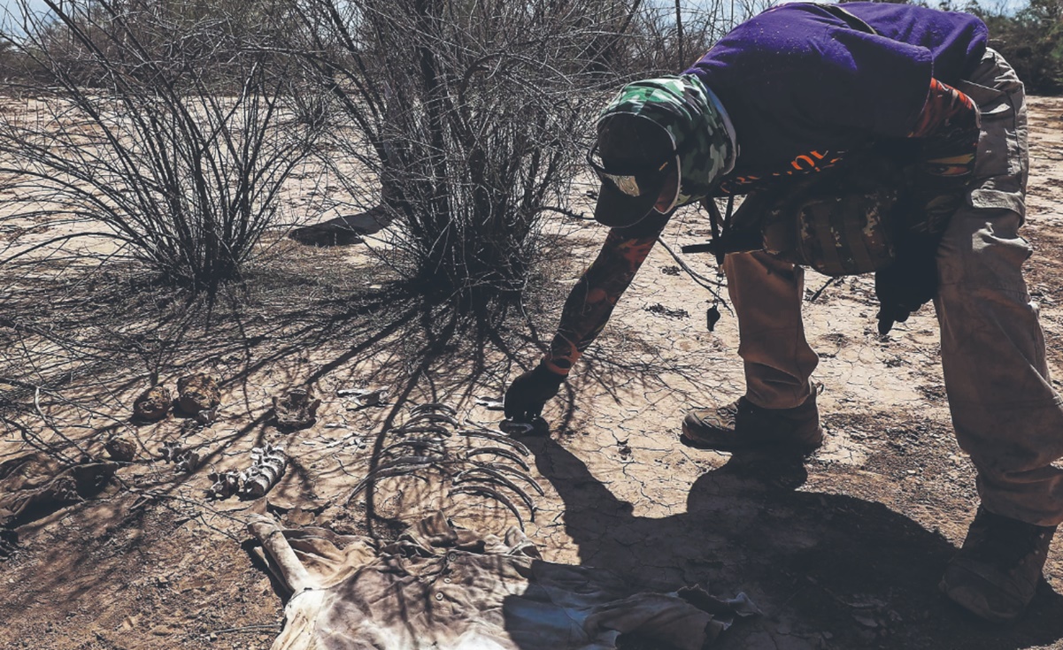 Escáneres portátiles donados por la ONU agilizan cotejo de huellas de restos humanos en Sinaloa