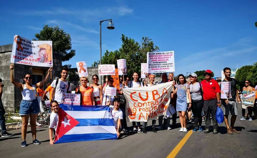 Rodeo de gatos en feria de Cuba desata protestas de animalistas