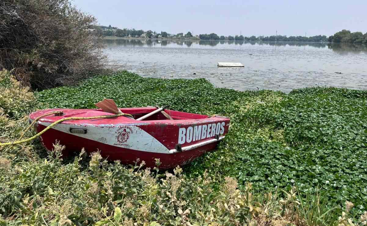 Suspenden operativo para capturar cocodrilo de la Laguna de La Piedad, en Cuautitlán Izcalli