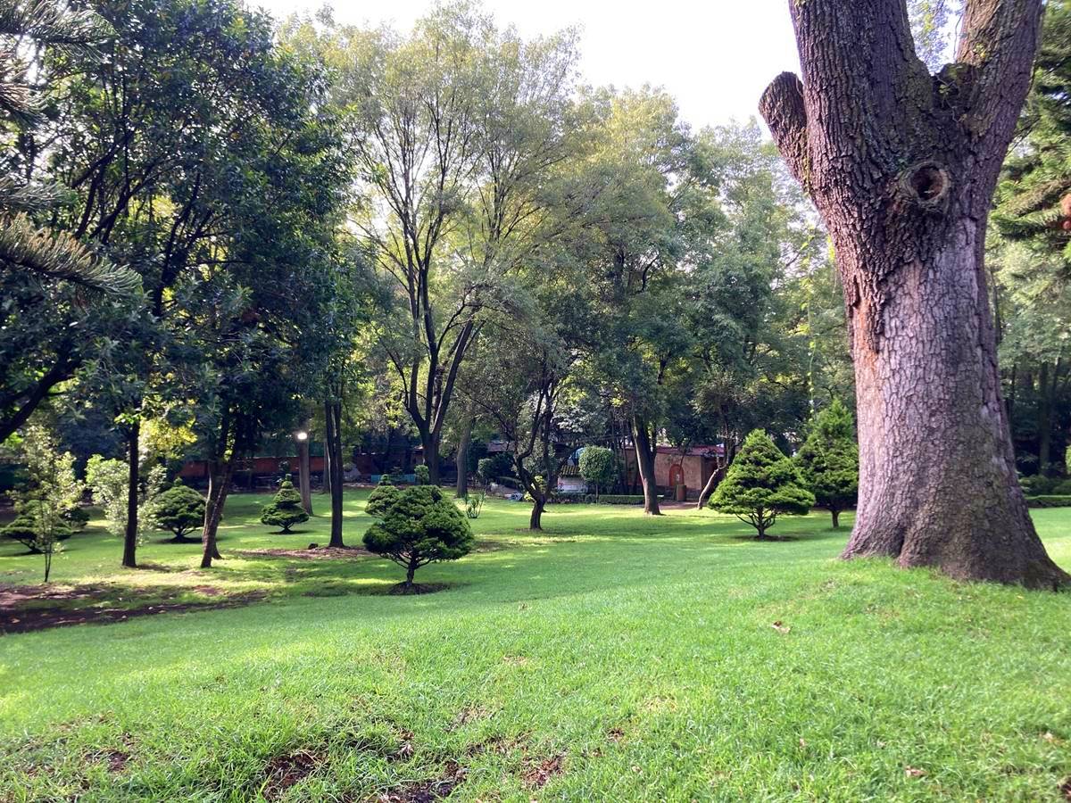 Qué hacer en el Parque Ecológico Loreto y Peña Pobre de CDMX