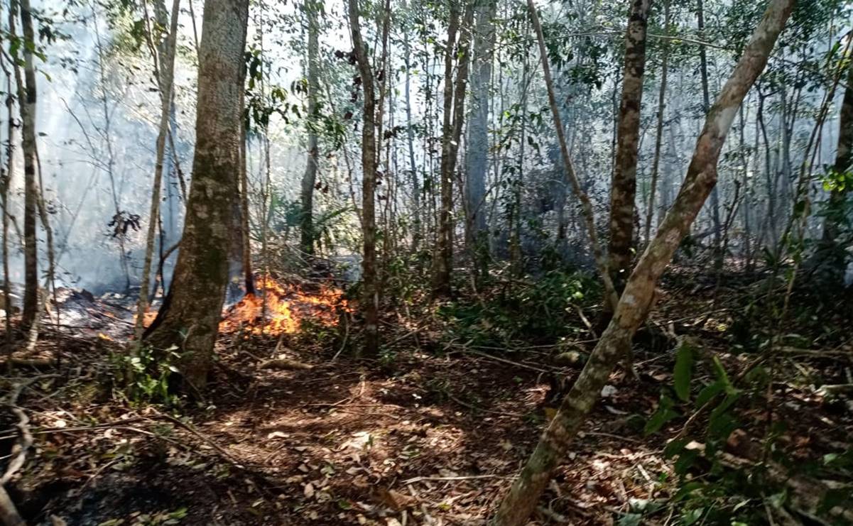 Conafor registra entre enero y mayo 5 mil 292 incendios forestales en México