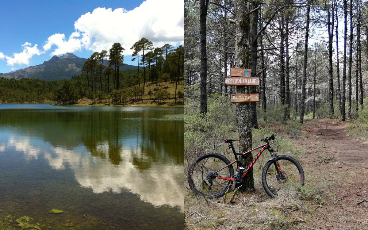 Lánzate al parque ecoturístico Valle Alegre en medio del bosque