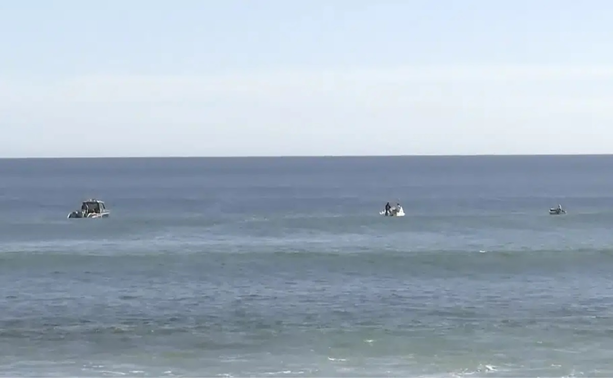 Hallan posibles restos de surfista desaparecido que fue atacado por un tiburón en Australia 