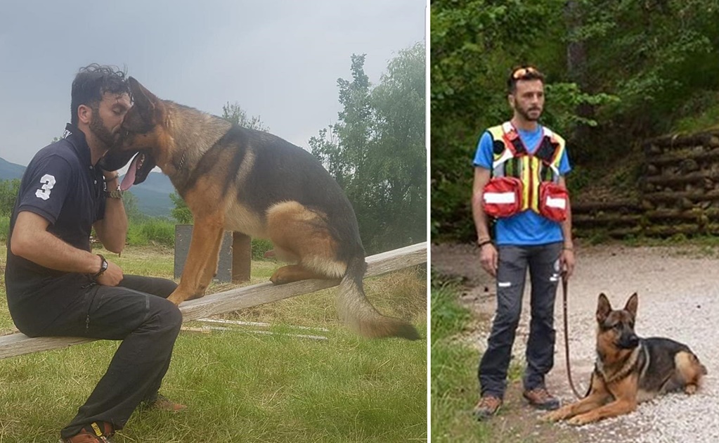 "Kaos", el "perro héroe" que rescató a víctimas de sismo en Italia, muere envenenado