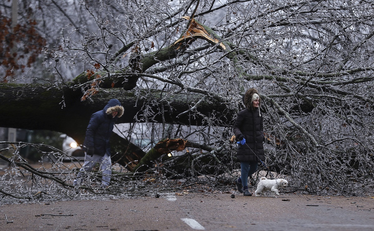 Muertes, árboles derribados y caos por tormenta invernal en EU