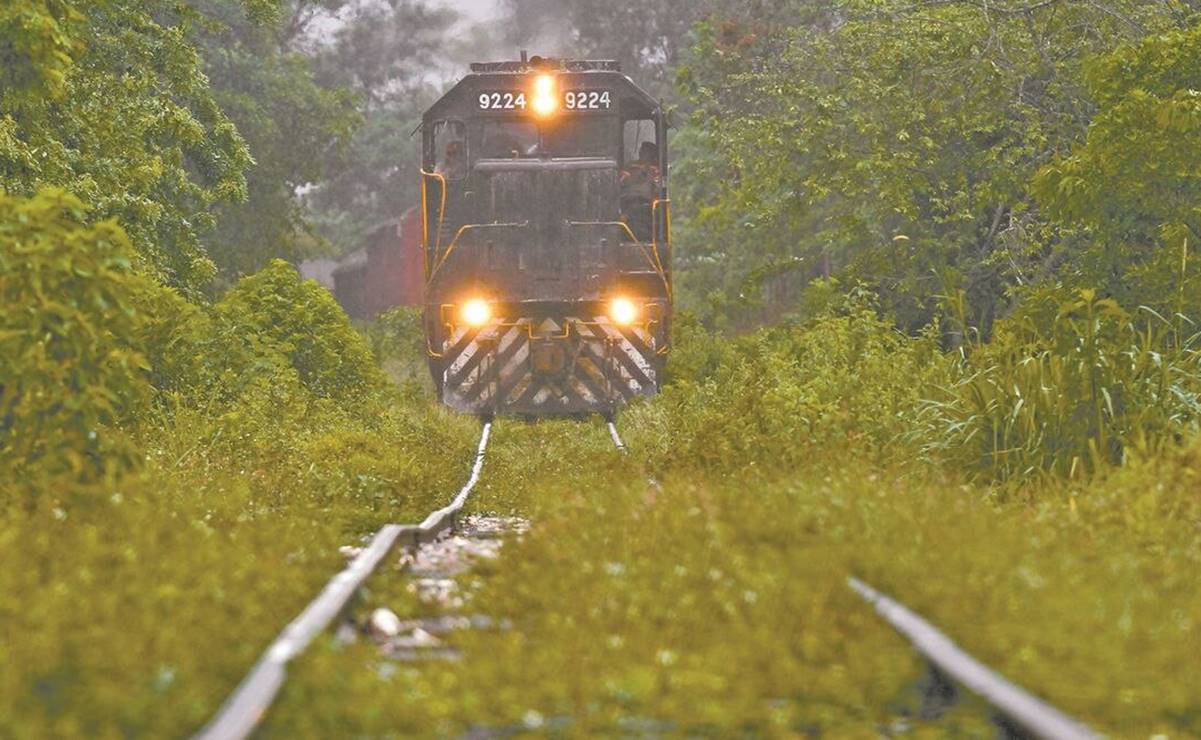 Marina toma instalaciones de Grupo México en Coatzacoalcos; expropian tramo del tren de Larrea en Veracruz