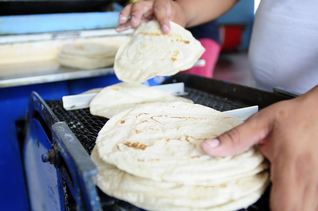Las tortillas más baratas las encuentras en los supermercados de Querétaro, señala la Profeco