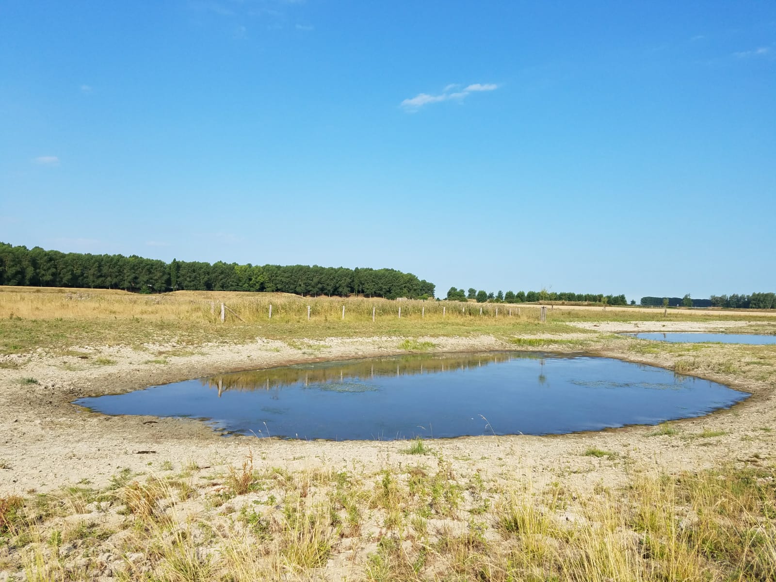 En medio de ola de calor, escasez de agua golpea a Holanda