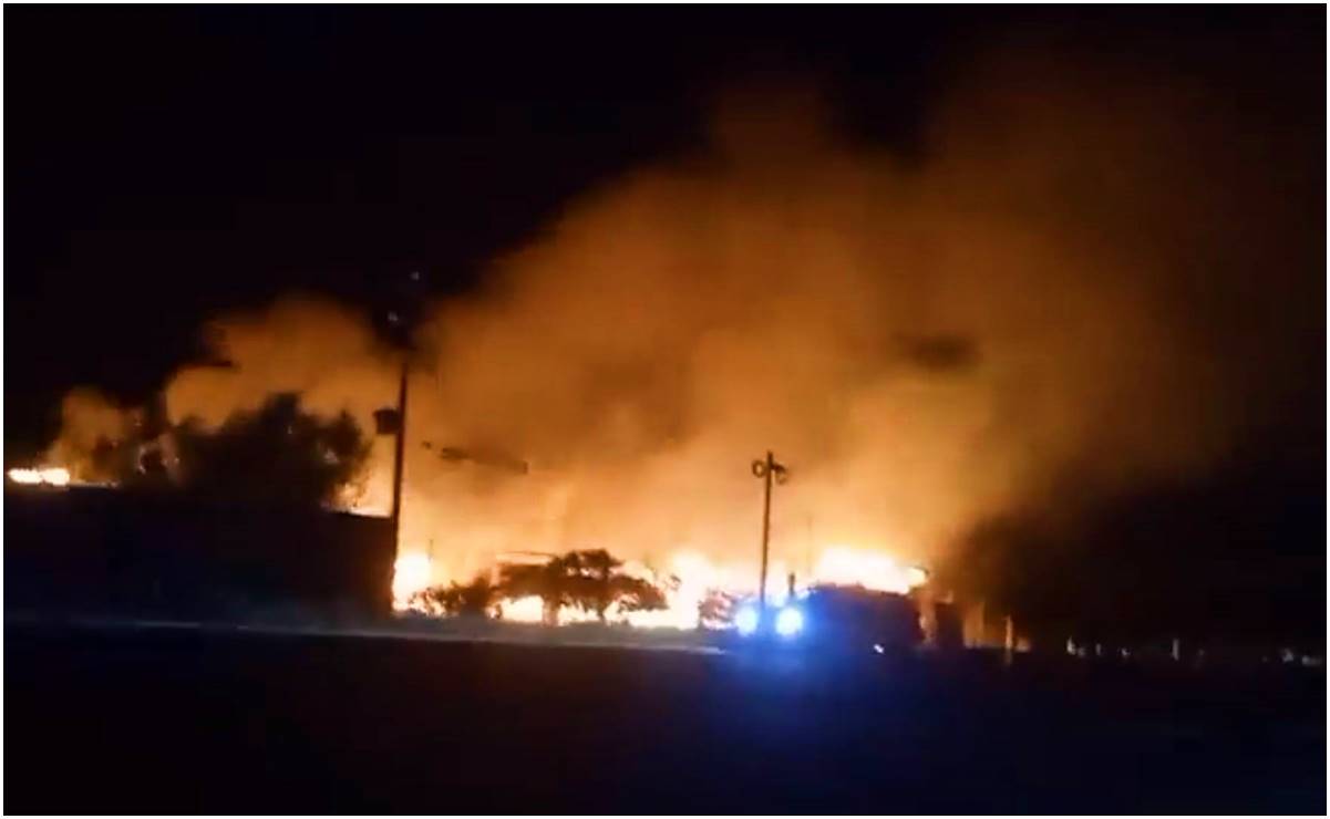 VIDEO: Incendio consume Zoológico Jaguar Xoo en Tlacolula de Matamoros, Oaxaca; autoridades reportan graves daños