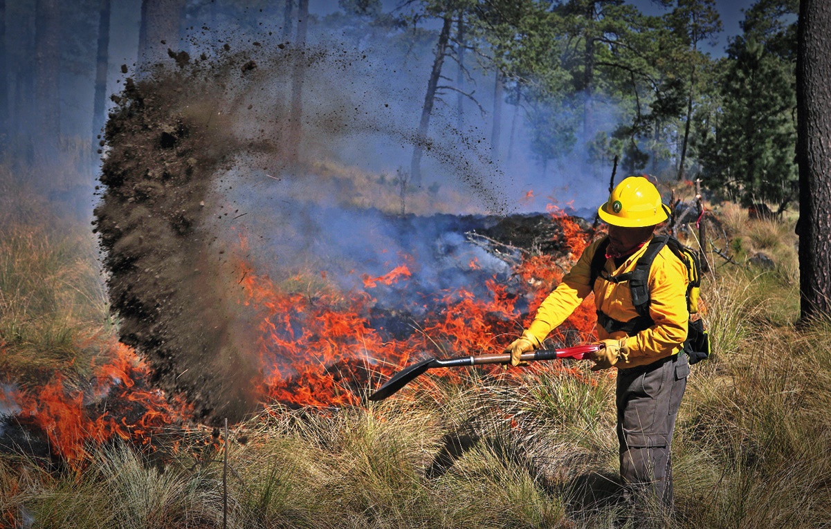 Se registran 65 incendios forestales en 13 estados del país