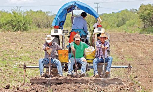 Reforma dañará al agro, afirman