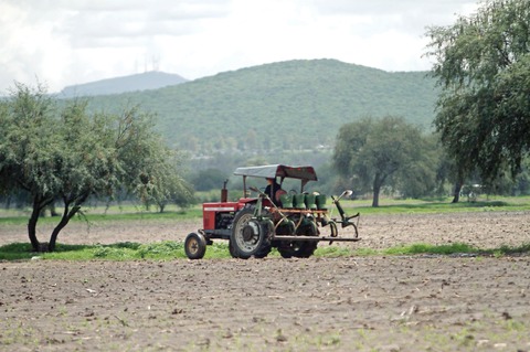 Urgen a consolidar al campo