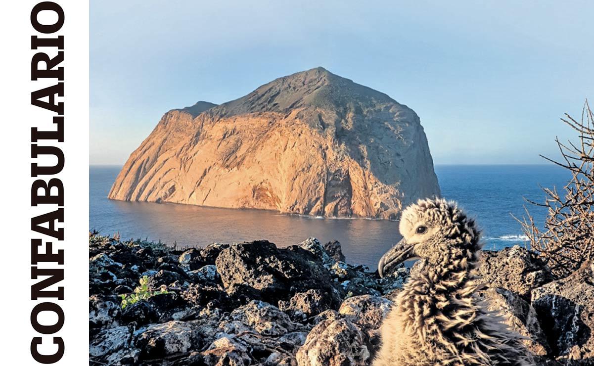 Confabulario; Islas de México - Nidos de conservación