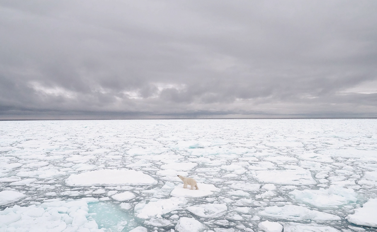 El Ártico inicia transición a un nuevo clima por el cambio climático