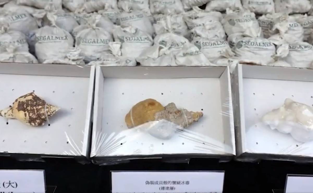 Segalmex se deslinda de metanfetamina empaquetada en conchas con su logo; alista denuncias