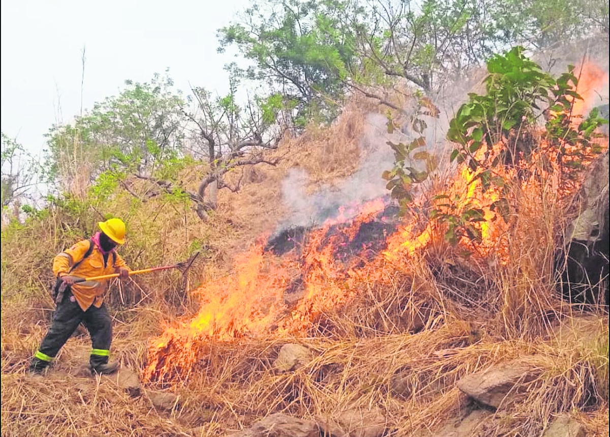 Incendios, sin atender por la presencia del crimen