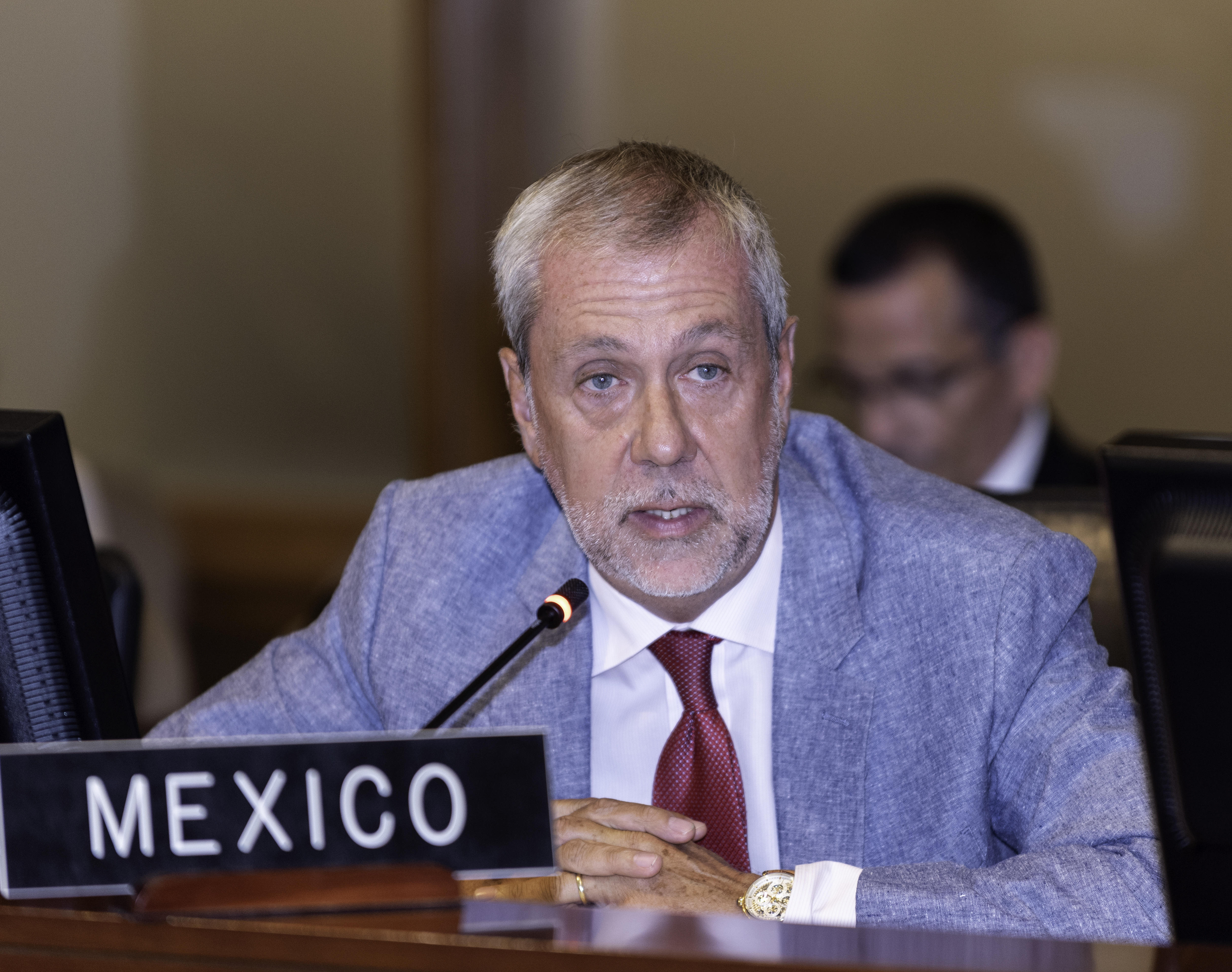 México pide a la OEA aclaración jurídica sobre su actuar en caso Venezuela