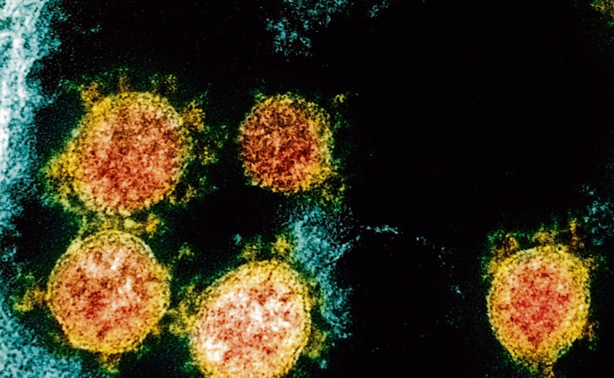 Coronavirus. Tecnología para identificar variantes de la covid-19 gana el Premio Millennium