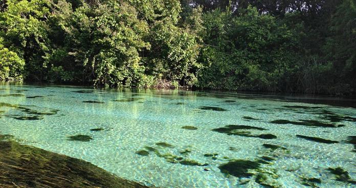 Sumérgete en el parque acuático con agua de manantial de Florida