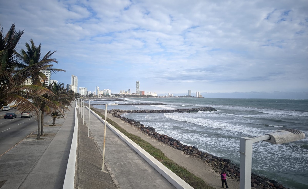 Con ayuda de imágenes satelitales, reforestarán el puerto de Veracruz