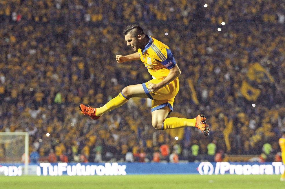 Fulgor del diamante francés de tigres