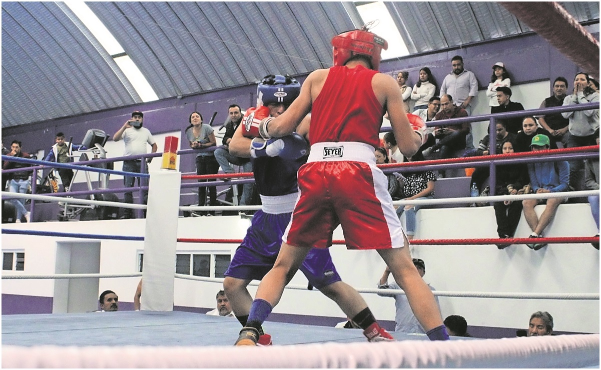 Boxeo profesional volverá a México sin público y en Michoacán