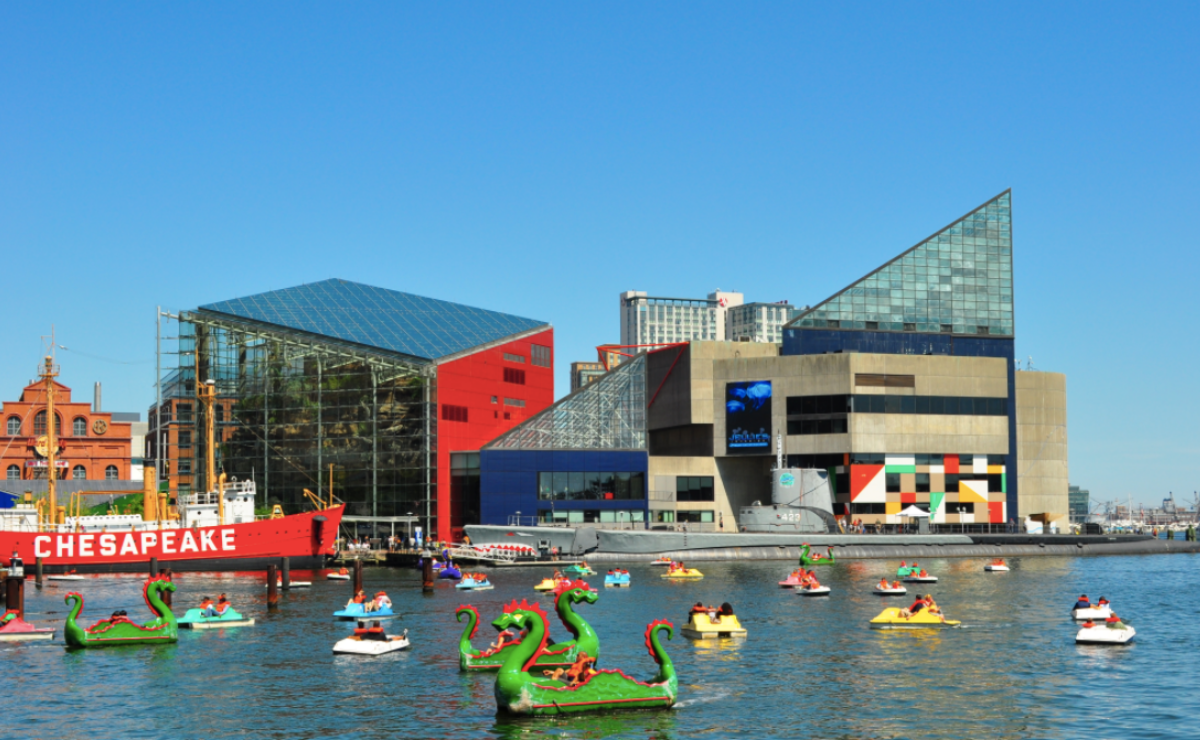 El maravilloso Acuario Nacional de Baltimore en un tour virtual 