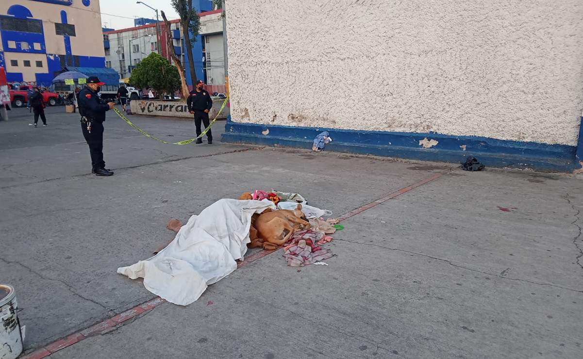 Perrito conmueve al resguardar cadáver de su amo