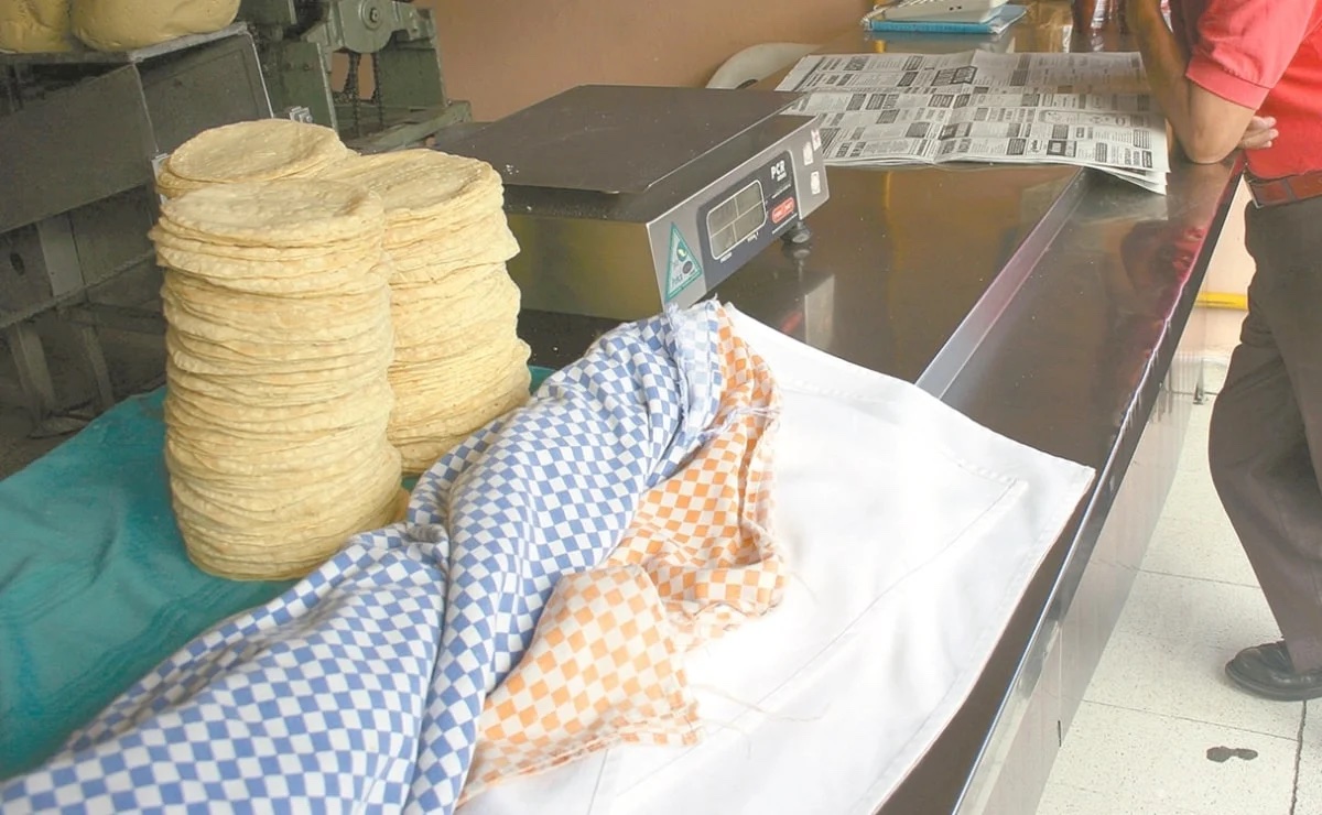 Tortilla subió más de 3 pesos en promedio a lo largo de 2022