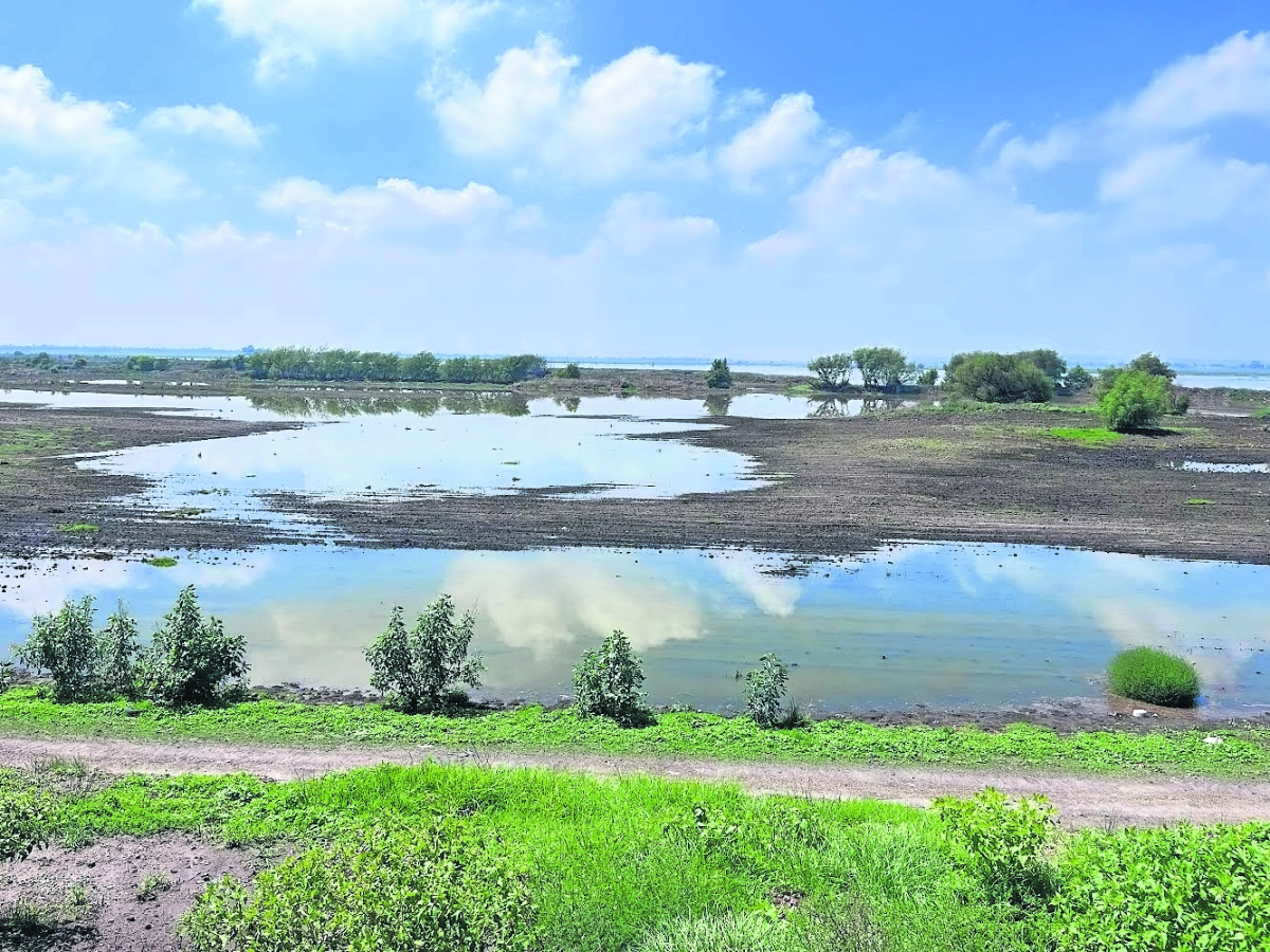 Incrementan ventas por visita de turistas a la laguna de Zumpango