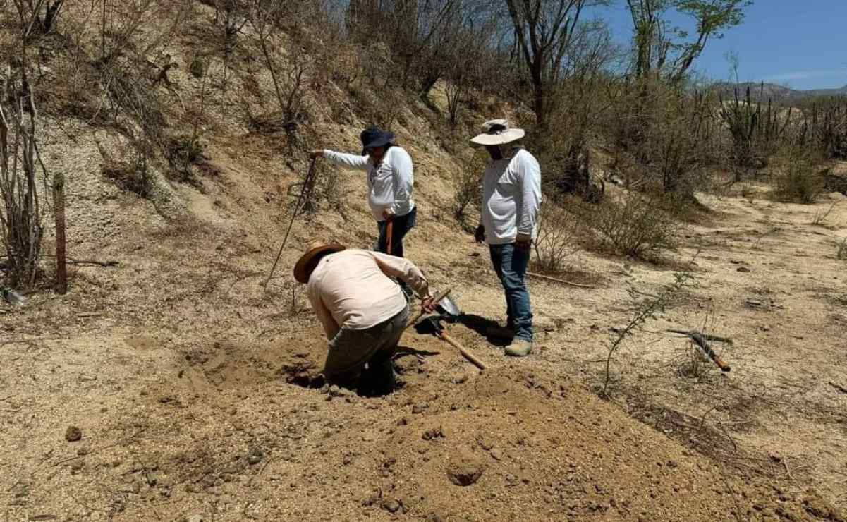 Realizarán jornada de toma de muestras de ADN a familiares de personas desaparecidas en Los Cabos