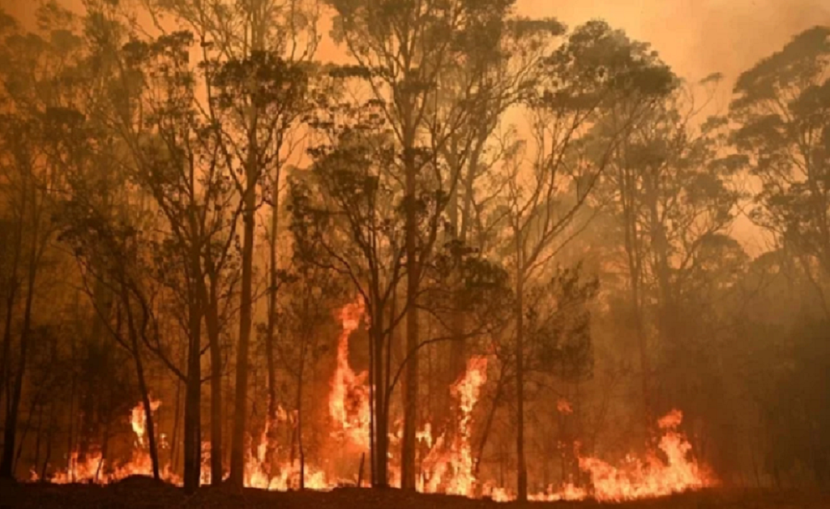 Australia reporta más de 200 incendios activos; han dejado al menos 23 muertos 