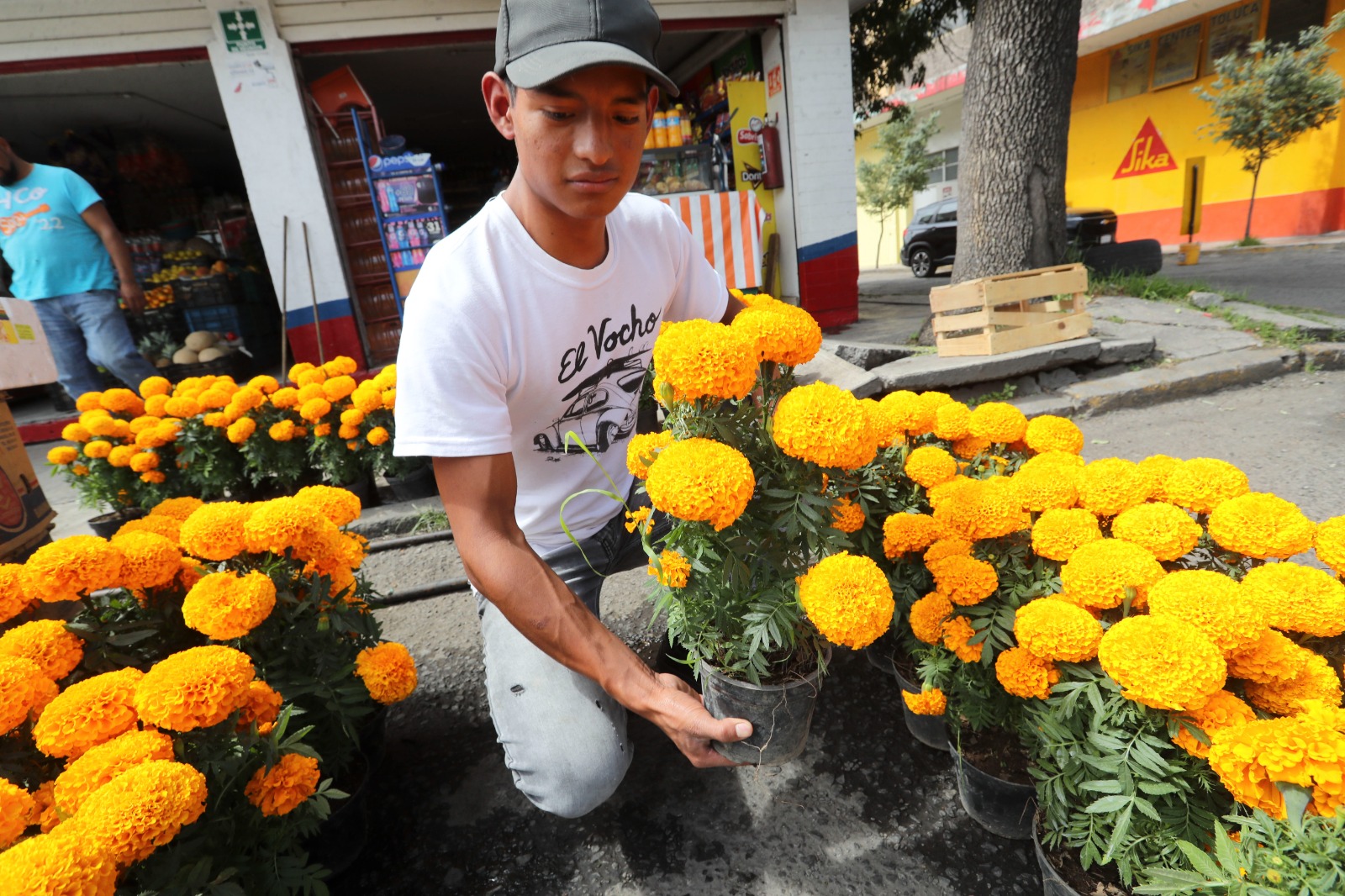 Floricultores del Estado de México, listos para temporada de exportación a EU