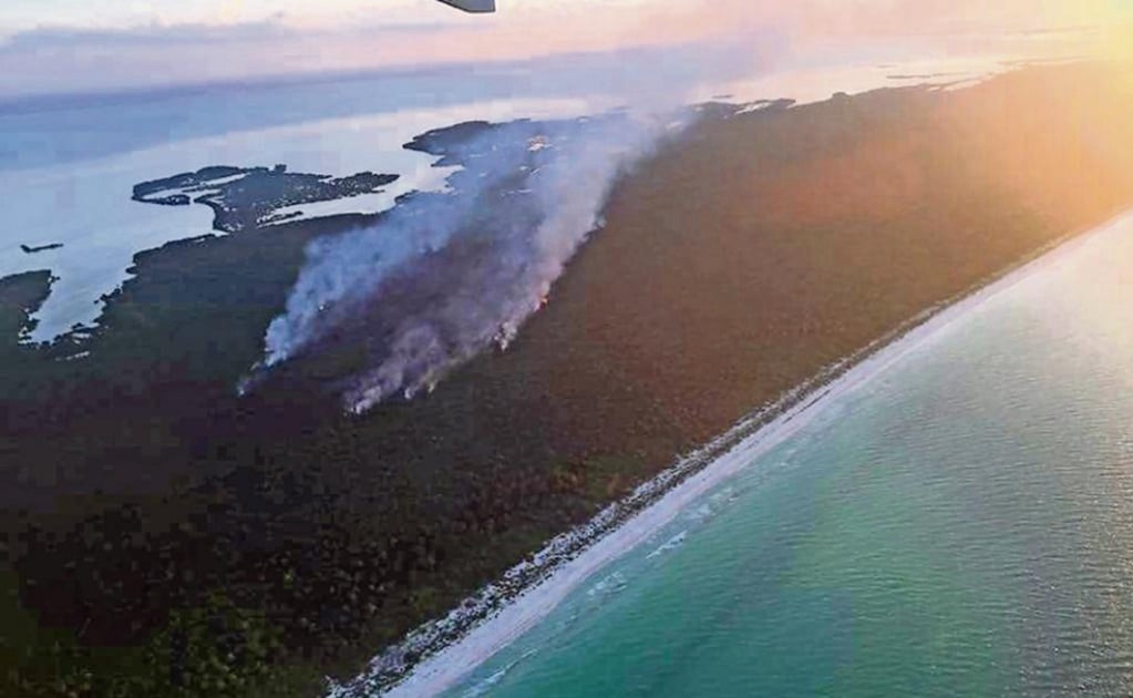 National Forestry Commission ready to launch investigation into fire in Holbox 