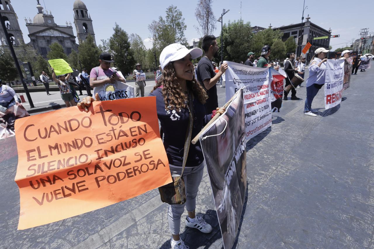 Estado México, segundo lugar con más casos de transfeminicidios y agresiones por homofobia: ONG