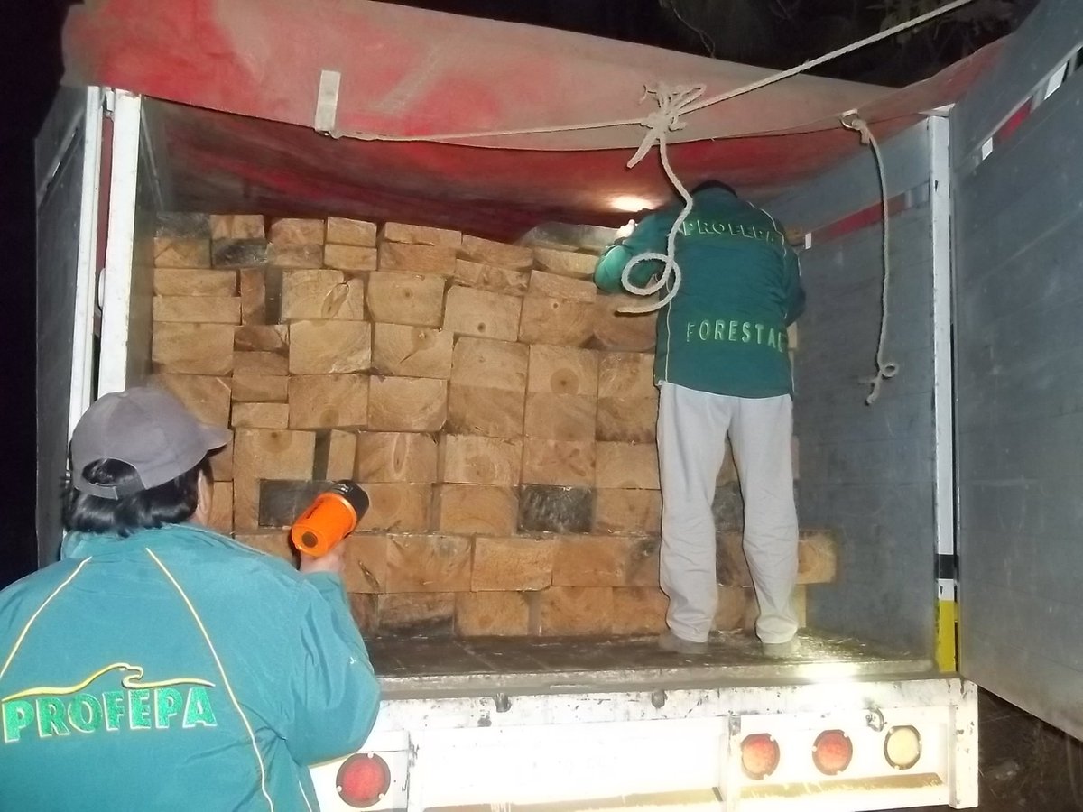 Asegura Profepa 94 piezas de madera motoaserrada en Morelos