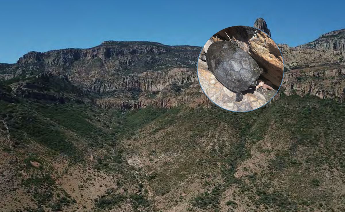 Cañón de Lajas, una maravilla natural del Altiplano Potosino