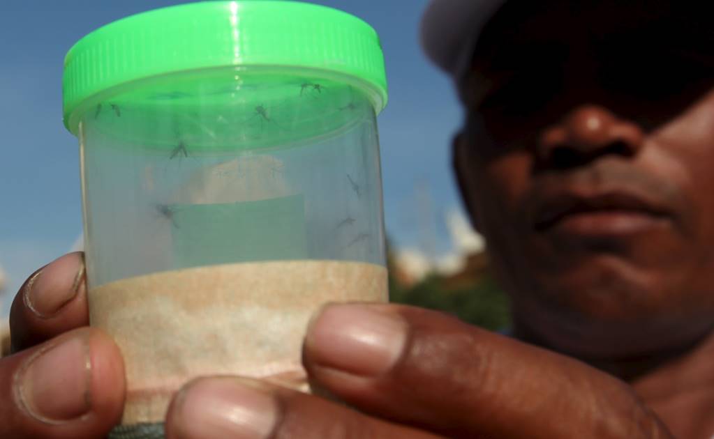 Brasil detecta zika en orina y saliva e investiga si pueden transmitirlo