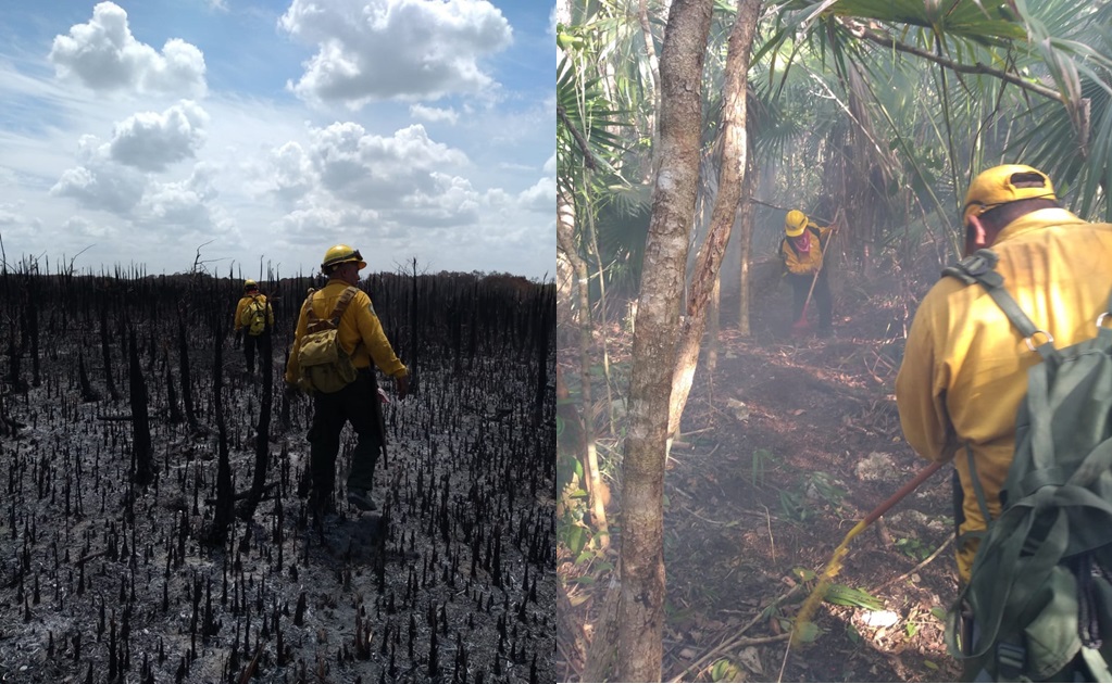 Controlan un 70 por ciento del incendio en Sian Ka'an, Quintana Roo