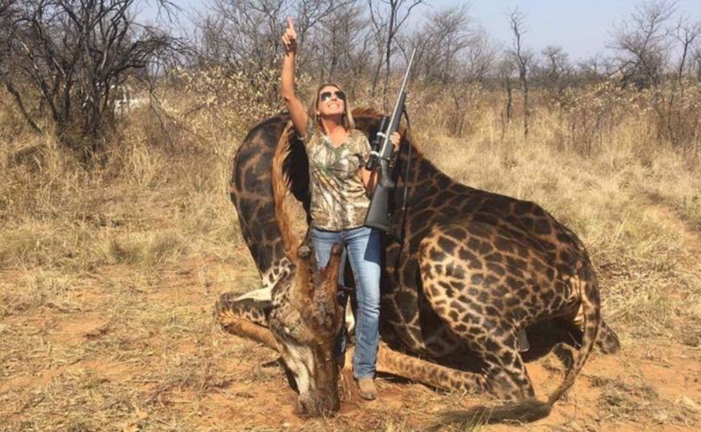 Cazadora de EU mata a rara 'jirafa negra'; lo presume en redes y causa indignación