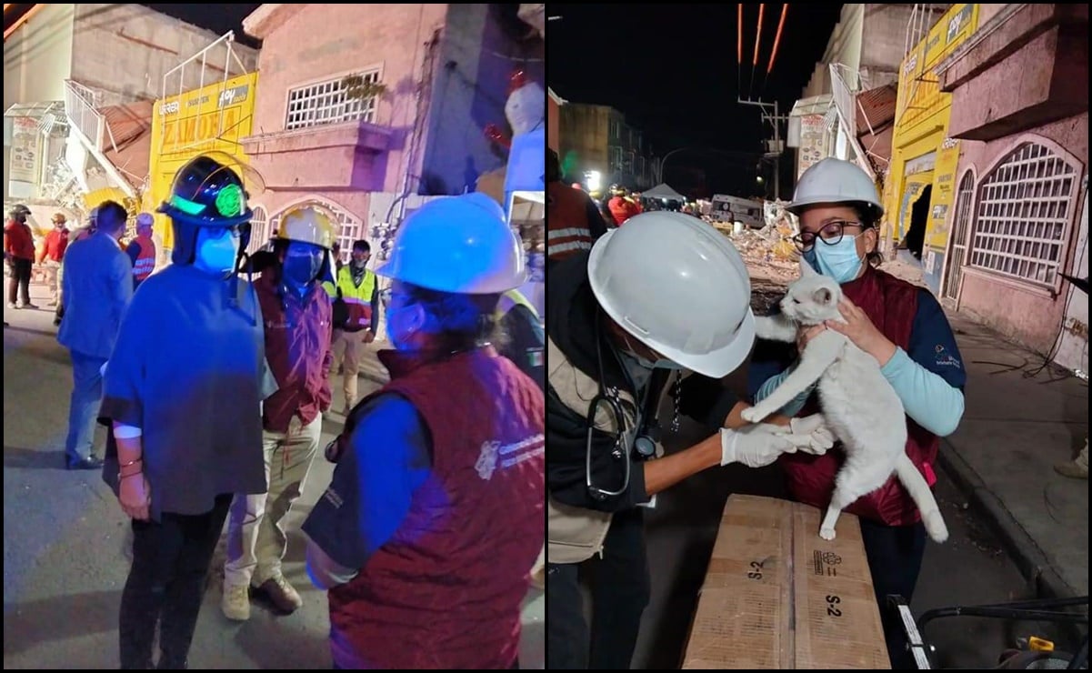 Rescatan a gatito de edificio colapsado por explosión de tanque de gas en Puebla