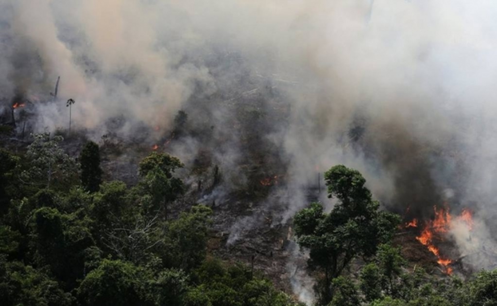 Protestas en varias ciudades europeas para salvar la Amazonia "en llamas"