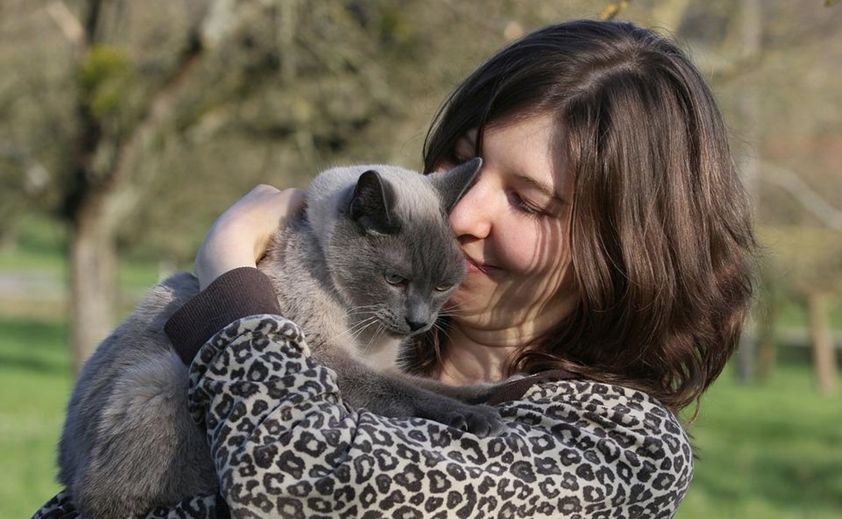 ¿Por qué deberías tener un gato? Estos son los beneficios que enlista la ciencia