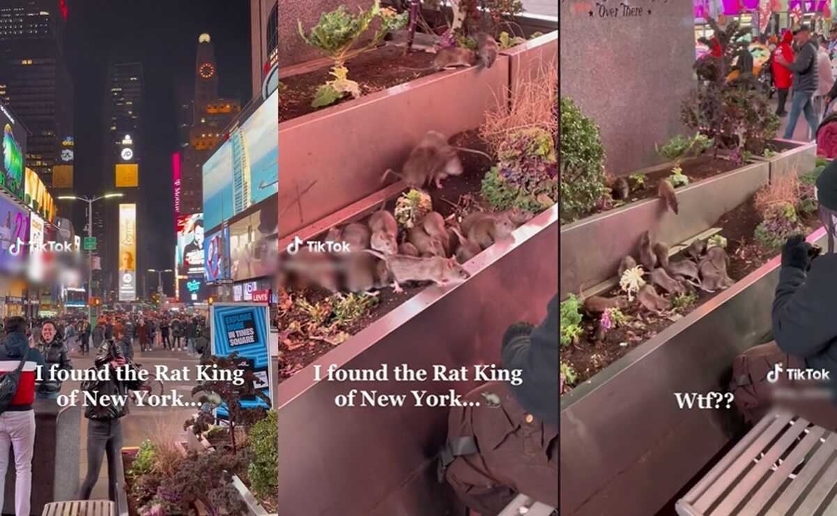 VIDEO: Ratas "invaden" Times Square en Nueva York... hombre las alimenta