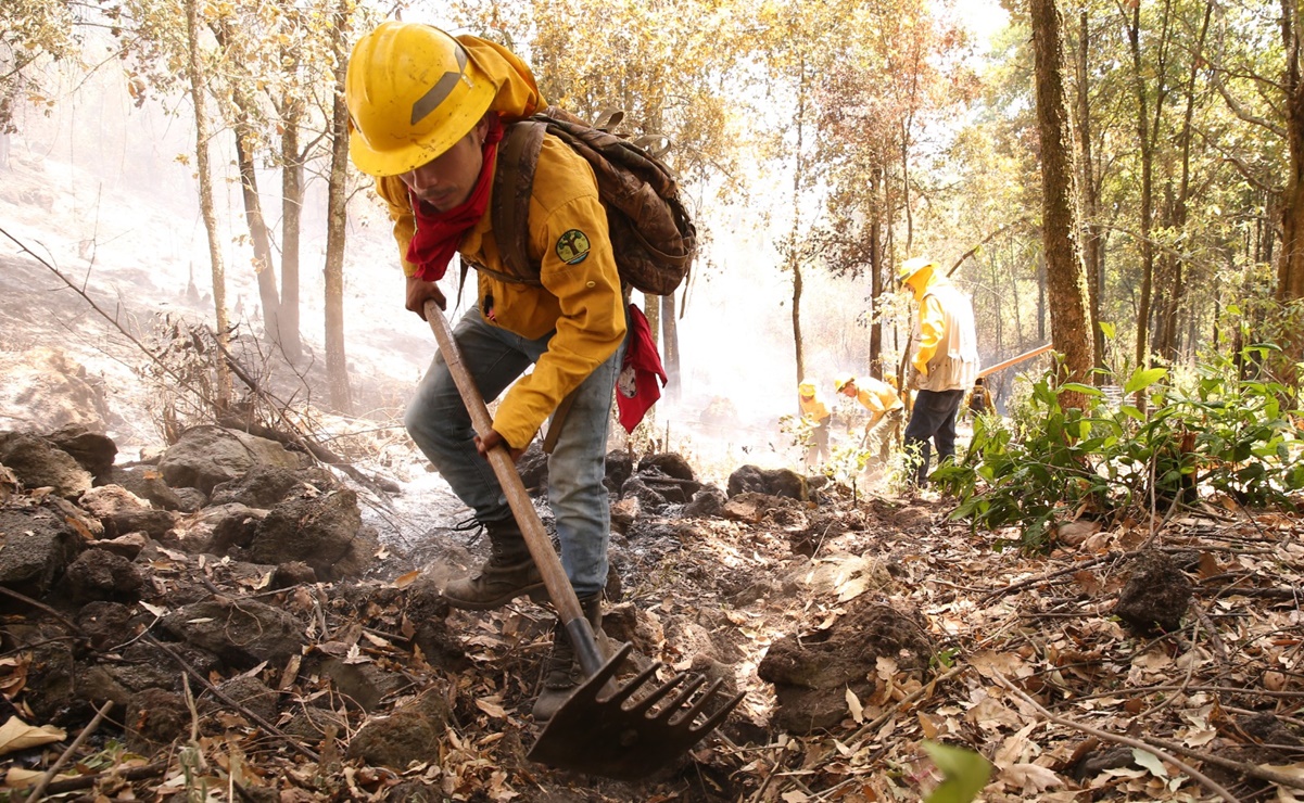 Edomex: 54 Brigadas de Dragones trabajan en la extinción de incendios forestales